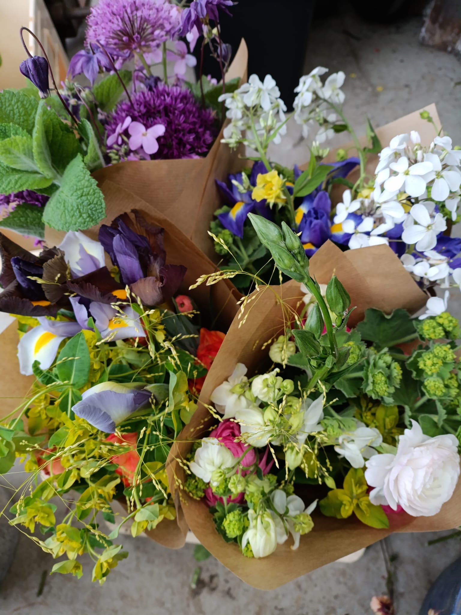 19d30d21-1adb-4dd3-be97-421dba74f115